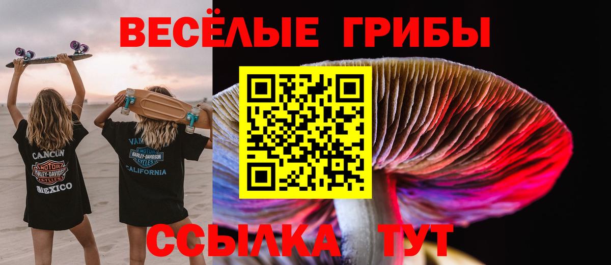Галлюциногенные грибы ЛСД Видное