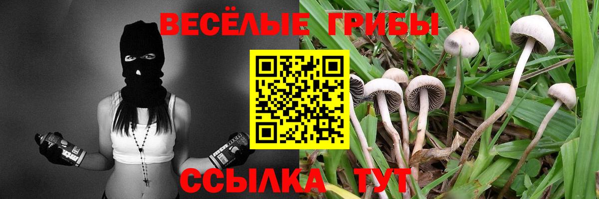 Галлюциногенные грибы мухоморы  Вход с VPN  Видное  Псилоцибиновые грибы мицелий 